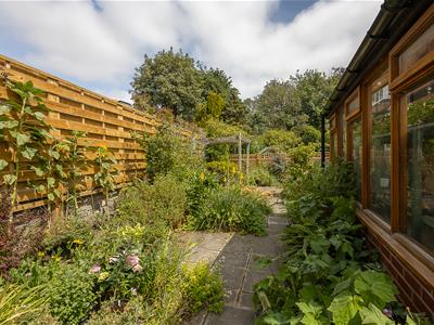 Picture 17